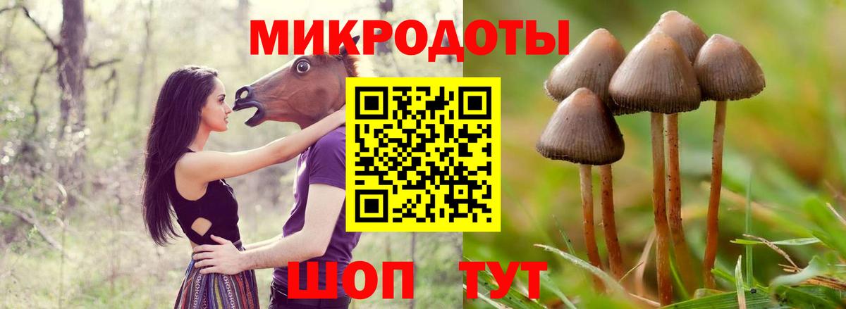Галлюциногенные грибы мухоморы  Вход с VPN  Гагарин 